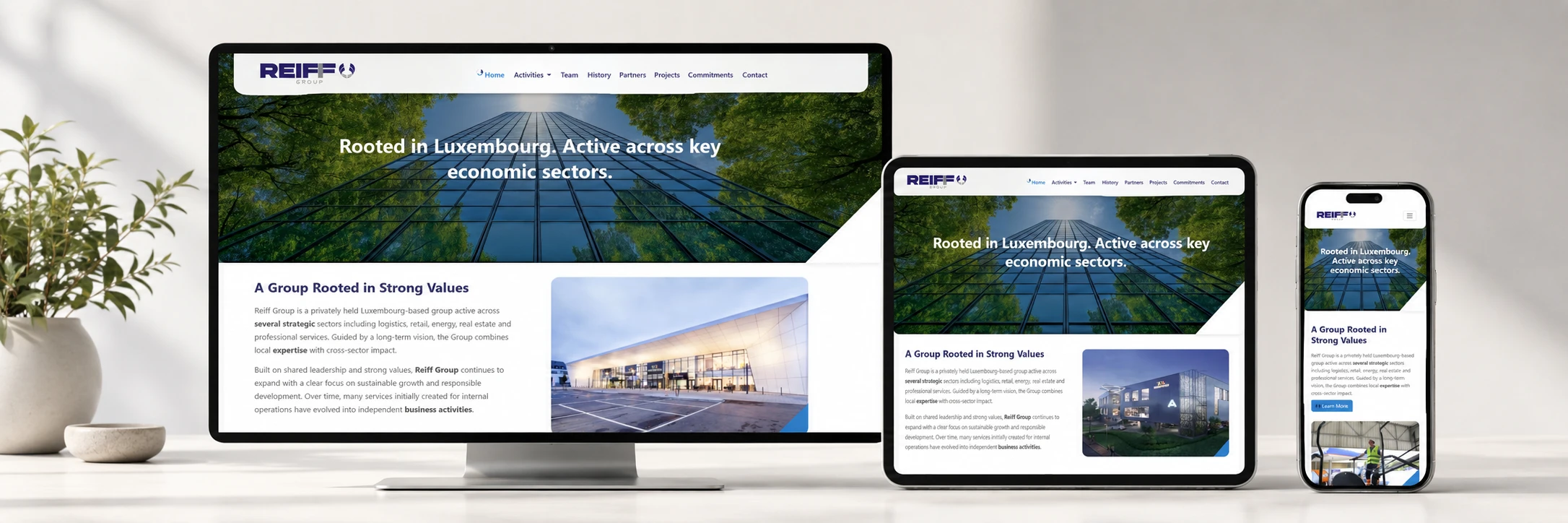 exemple site responsive ineako