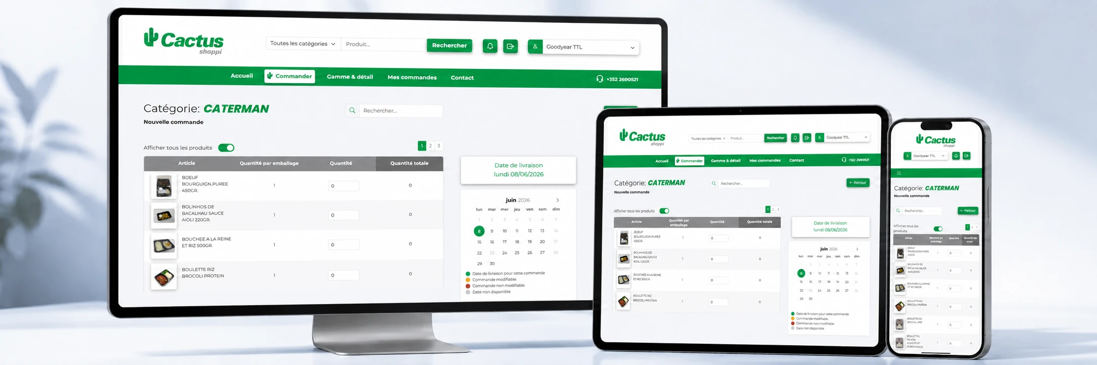 Exemple responsive site Ineako